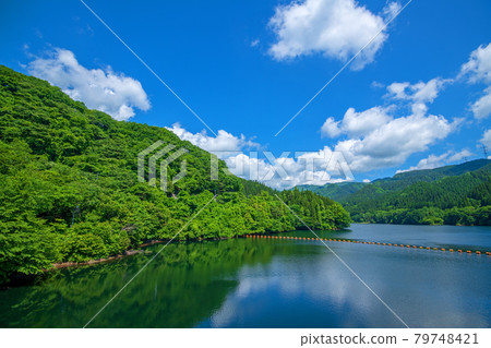 霧泉水壩 霧泉湖 從堤防眺望初夏的周邊景色 霧泉水壩 霧泉湖 從堤防眺望初夏的周邊景色 79748421