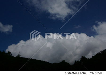 雲 雲 79748509