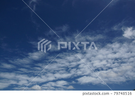 雲 79748516