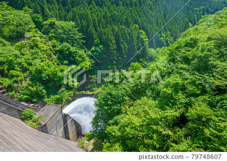 霧泉大壩 霧泉湖 初夏從堤壩上俯瞰周邊景色 79748607