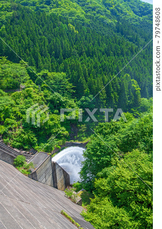 霧泉大壩 霧泉湖 初夏從堤壩上俯瞰周邊景色 79748608