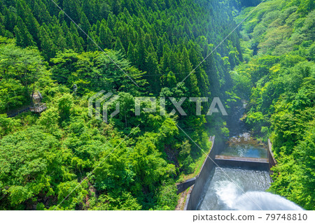 Kirizumi Dam Kirizumi Lake A view of the surrounding area in early summer looking down from the dam embankment Kirizumi Dam Kirizumi Lake A view of the surrounding area in early summer looking down from the dam embankment 79748810