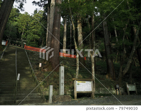 愛知縣堀山東照宮 79749010