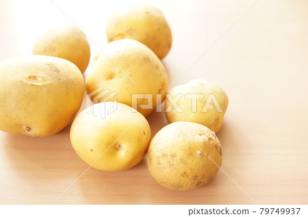 Potatoes harvested for the first time in the vegetable garden 79749937