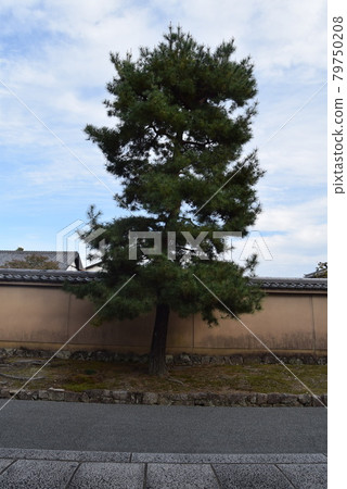 Sokokuji Sokokuji 79750208
