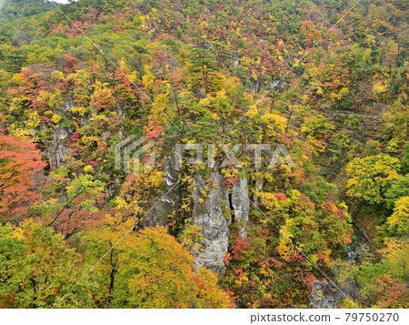 Autumn leaves scene of Naruko Gorge just in full bloom overlooking from the bridge @ Miyagi 79750270