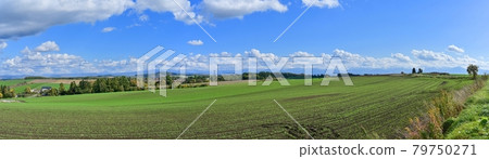 A panoramic view of the Tokachi mountain range and the vast fields in the blue sky background seen at Biei Hill @ Hokkaido 79750271