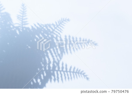 Power Plant Shadow Landscape Power Plant Shadow Landscape 79750476