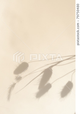 Power Plant Shadow Landscape Power Plant Shadow Landscape 79750480