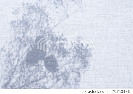 亞麻背景上的植物陰影 亞麻背景上的植物陰影 79750488