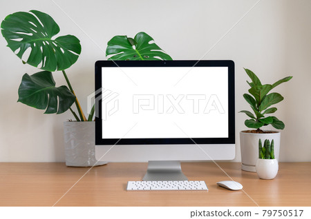 Blank screen of All in one Computer with Monstera 79750517