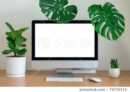 Blank screen of All in one Computer with Monstera 79750518