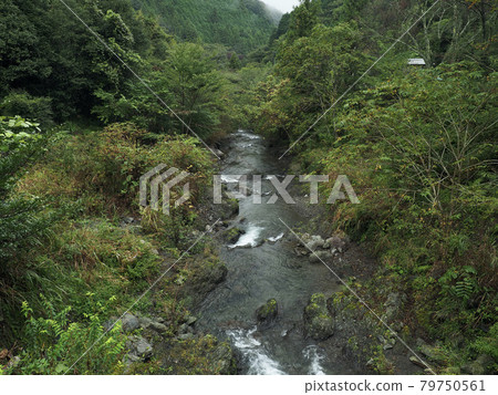 靜岡縣黑俁川 靜岡縣黑俁川 79750561