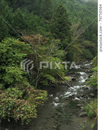 Kuromata River, Shizuoka Prefecture Kuromata River, Shizuoka Prefecture 79750564