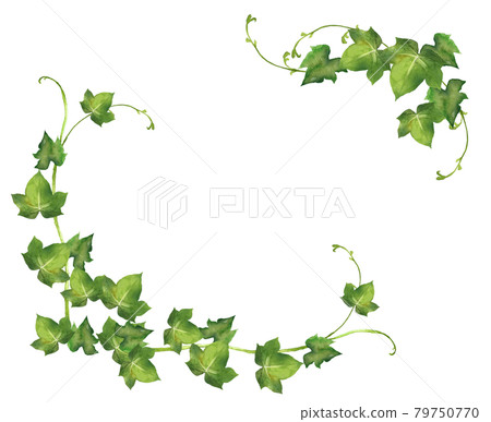 Watercolor ivy frame 79750770
