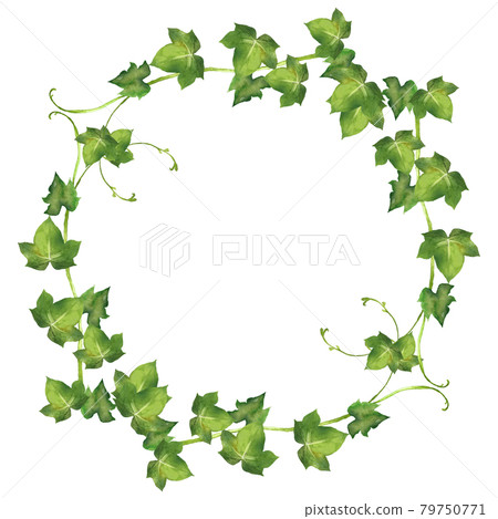 Watercolor ivy wreath Watercolor ivy wreath 79750771