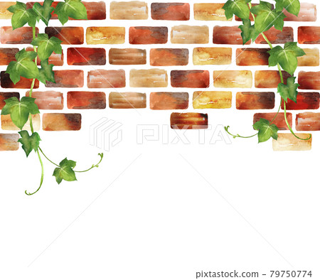 水彩常春藤和磚牆 79750774