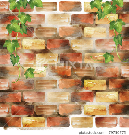 水彩常春藤和磚牆 水彩常春藤和磚牆 79750775