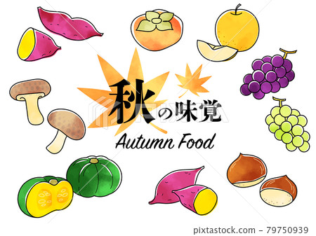 Autumn taste illustration watercolor style 79750939