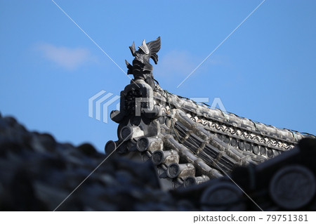 鬼原和Shachihoko 鬼原和Shachihoko 79751381