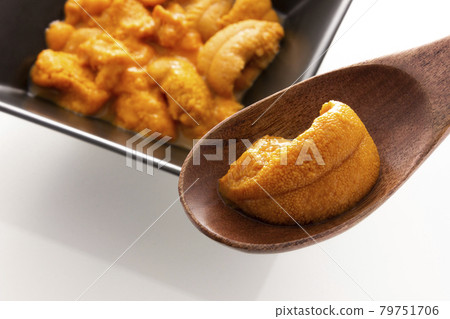 Ezo horse manure untan from Rishiri Island, raw sea urchin 79751706