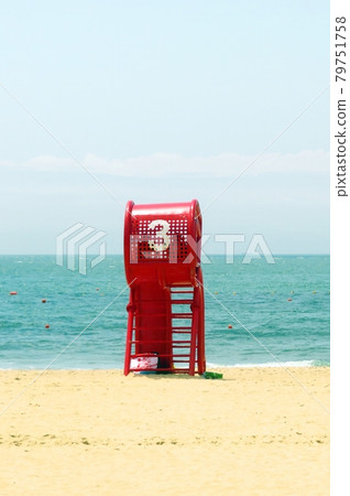 Summer sea landscape 79751758