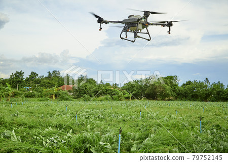 Agriculture drone fly to sprayed fertilizer on Kale field Agriculture drone fly to sprayed fertilizer on Kale field 79752145