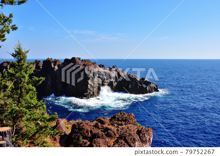 Higashiizu Jogasaki Coast 79752267