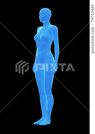 Female body, body, 3d Female body, body, 3d 79752484