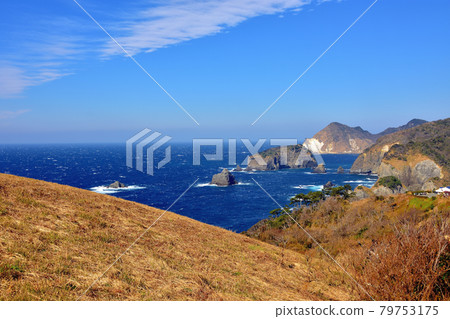Minamiizu coast, which is rough due to strong winds 79753175
