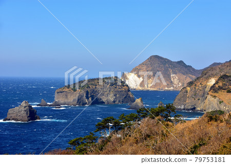 Minamiizu coast, which is rough due to strong winds 79753181