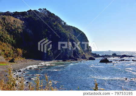 Minamiizu coast, which is rough due to strong winds 79753195
