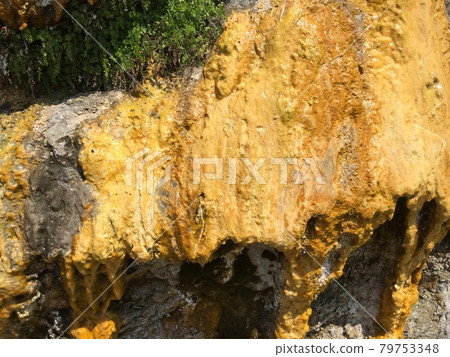 Background with yellow mold on the mountain or rock Background with yellow mold on the mountain or rock 79753348