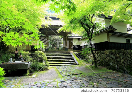 初夏美濃正倉院,Ryokaizan Yokokuraji walk, 19(岐阜縣伊比郡伊比川町橫倉) 初夏美濃正倉院,Ryokaizan Yokokuraji walk, 19(岐阜縣伊比郡伊比川町橫倉) 79753526