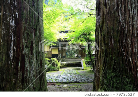 初夏美濃正倉院，Ryokaizan Yokokuraji walk, 20（岐阜縣伊比郡伊比川町橫倉） 79753527