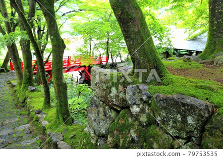 初夏美濃正倉院，Ryokaizan Yokokuraji walk, 28（岐阜縣伊比郡伊比川町橫倉） 79753535