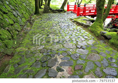 初夏美濃正倉院,Ryokaizan Yokokuraji walk,30(岐阜縣伊比郡伊比川町橫倉) 初夏美濃正倉院,Ryokaizan Yokokuraji walk,30(岐阜縣伊比郡伊比川町橫倉) 79753537