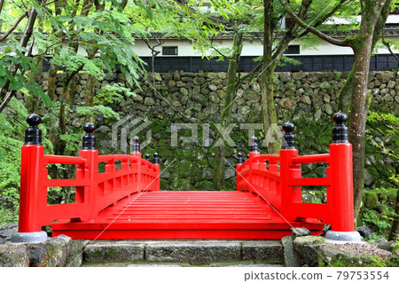 Shosoin in Mino in early summer, Ryokaizan Yokokuraji walk, 47 (Yokokura, Ibigawa-cho, Ibi-gun, Gifu Prefecture) 79753554
