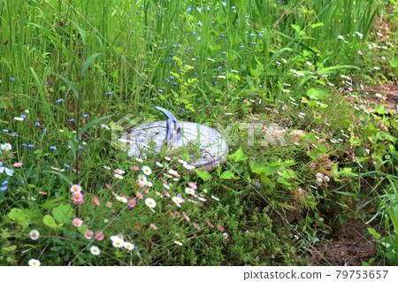 Gardening sundial Gardening sundial 79753657