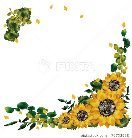 向日葵 79753958