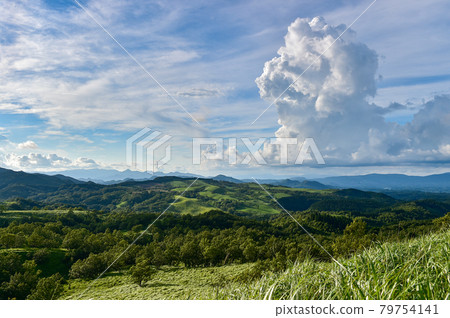 White clouds floating in the blue sky in summer Landscape of the meadow of Oshito stone White clouds floating in the blue sky in summer Landscape of the meadow of Oshito stone 79754141