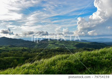 White clouds floating in the blue sky in summer Landscape of the meadow of Oshito stone White clouds floating in the blue sky in summer Landscape of the meadow of Oshito stone 79754159