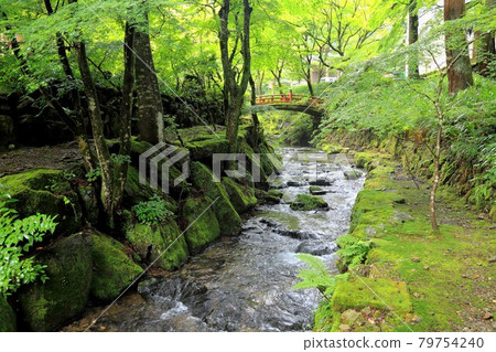 初夏美濃的正倉院,橫倉寺,59(岐阜縣伊比郡伊比川町橫倉寺) 初夏美濃的正倉院,橫倉寺,59(岐阜縣伊比郡伊比川町橫倉寺) 79754240