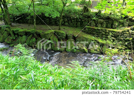 初夏美濃正倉院,橫倉良海山橫倉寺,60(岐阜縣伊比郡伊比川町橫倉寺) 初夏美濃正倉院,橫倉良海山橫倉寺,60(岐阜縣伊比郡伊比川町橫倉寺) 79754241