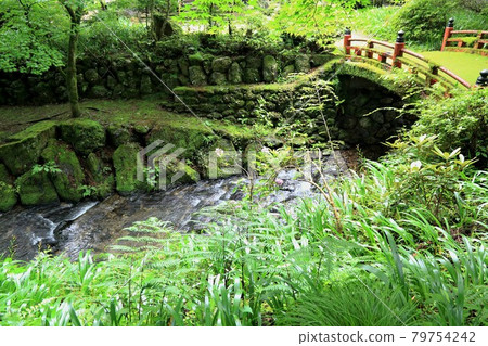 初夏美濃的正倉院,橫倉寺,橫倉寺,61(岐阜縣伊比郡伊比川町橫倉寺) 初夏美濃的正倉院,橫倉寺,橫倉寺,61(岐阜縣伊比郡伊比川町橫倉寺) 79754242
