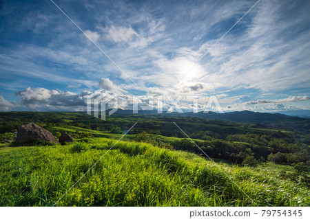 White clouds floating in the blue sky in summer Landscape of the meadow of Oshito stone White clouds floating in the blue sky in summer Landscape of the meadow of Oshito stone 79754345