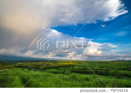 White clouds floating in the blue sky in summer Landscape of the meadow of Oshito stone White clouds floating in the blue sky in summer Landscape of the meadow of Oshito stone 79754358