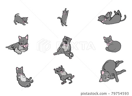 Assorted cats 2 - Stock Illustration [79754593] - PIXTA