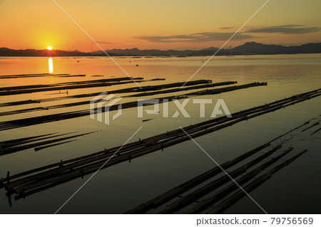 Waves lined up on oyster shelves Quiet sunrise in Setouchi 79756569