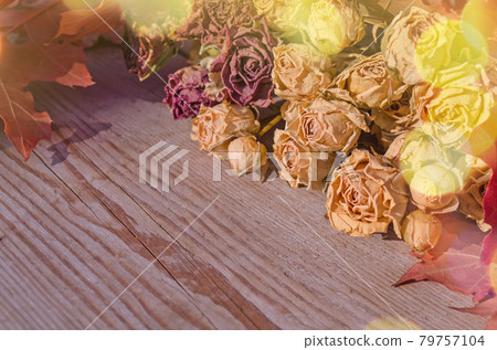 Dried bunch of rose flowers Dried bunch of rose flowers 79757104